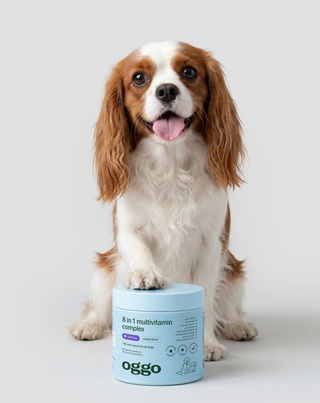 8 en 1 Complex alimento complementario multivitamínico para la salud y energía de la mascota Oggo 180 g - 2