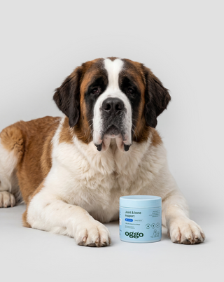 Joint & Bone Support alimento complementario para perros para articulaciones y huesos Oggo 180 g - 3