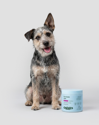 Fur & Skin alimento complementario para perros para un pelaje hermoso y una piel sana Oggo 180 g - 2