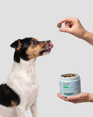 Probiotics for Dogs alimento complementario para perros para la digestión, el sistema digestivo y la inmunidad Oggo 180 g - 2