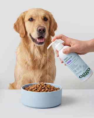 Aceite de salmón 100% alimento complementario para perros para la inmunidad y energía Oggo 250 ml - 3