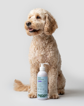 Aceite de salmón 100% alimento complementario para perros para la inmunidad y energía Oggo 250 ml - 2
