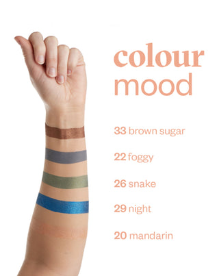 Sombra de ojos satinada Colour mood en tono marrón frío 31 Pearly Coffee Paese