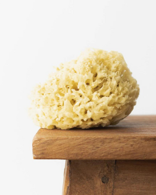imageType:lifestyle